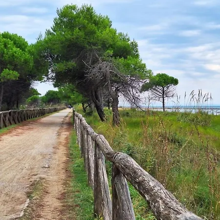 With Pool View-beahost 비비오네